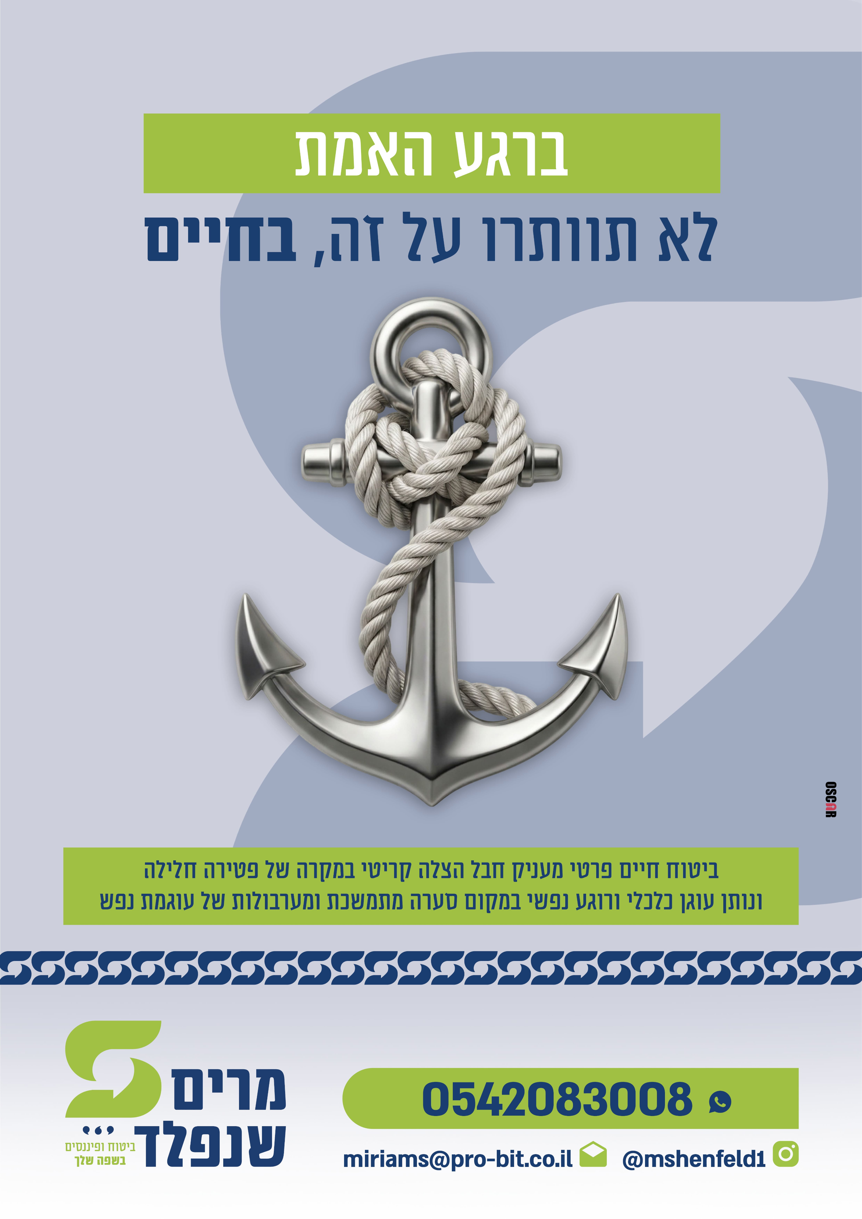 מרים שיינפלד — תוצר 2